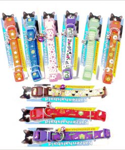 Petstar - Vòng cổ in hình 1cm